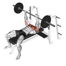 bench presses