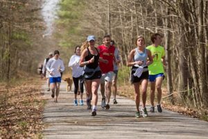 the routes that the participants handle in the G.O.A.T trail race 2024 